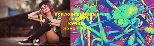 синтетический гашиш Алексин