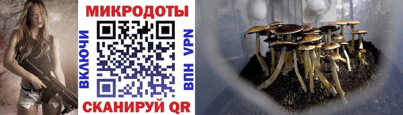 Купить  Краснообск  Галлюциногенные грибы Magic Shrooms 